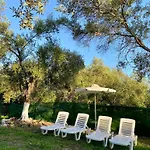 Endless Green: Feel Free And Cozy In Nature