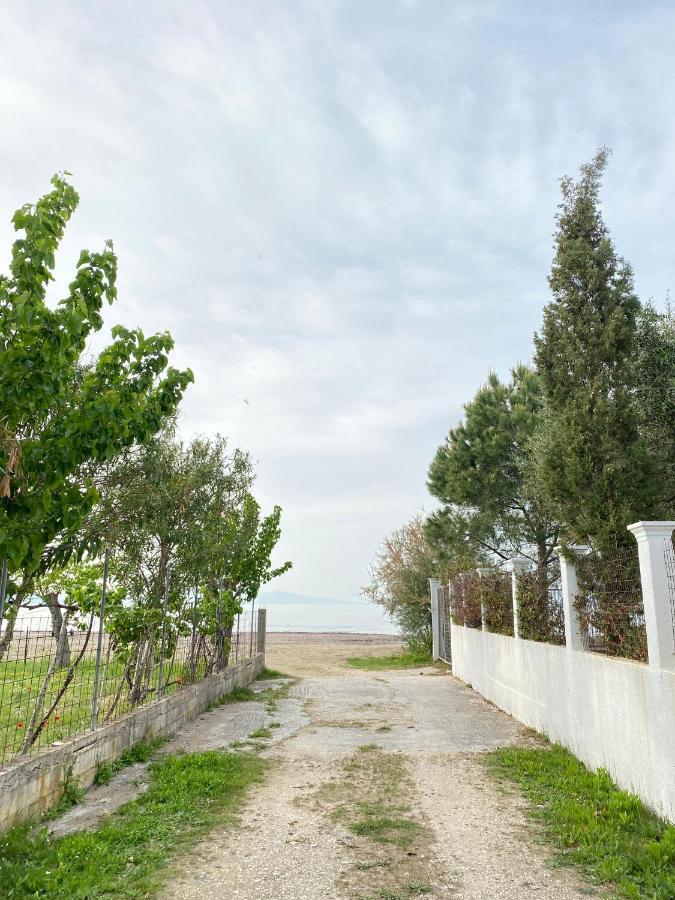 Endless Green: Feel Free And Cozy In Nature Appartement