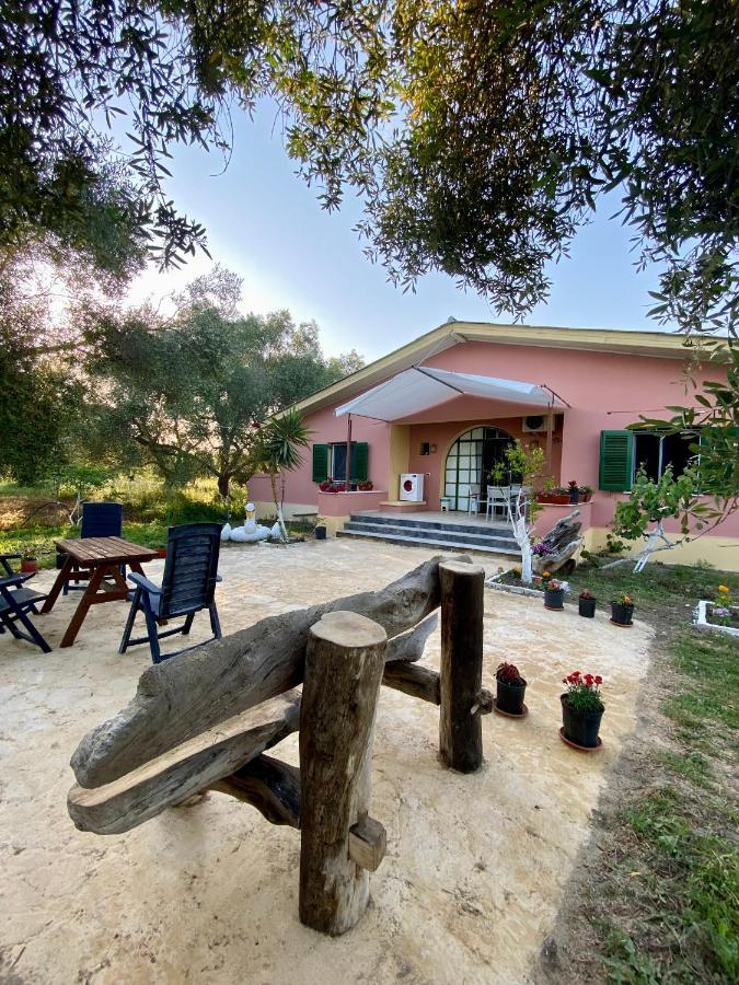 Endless Green: Feel Free And Cozy In Nature Appartement Perivólion