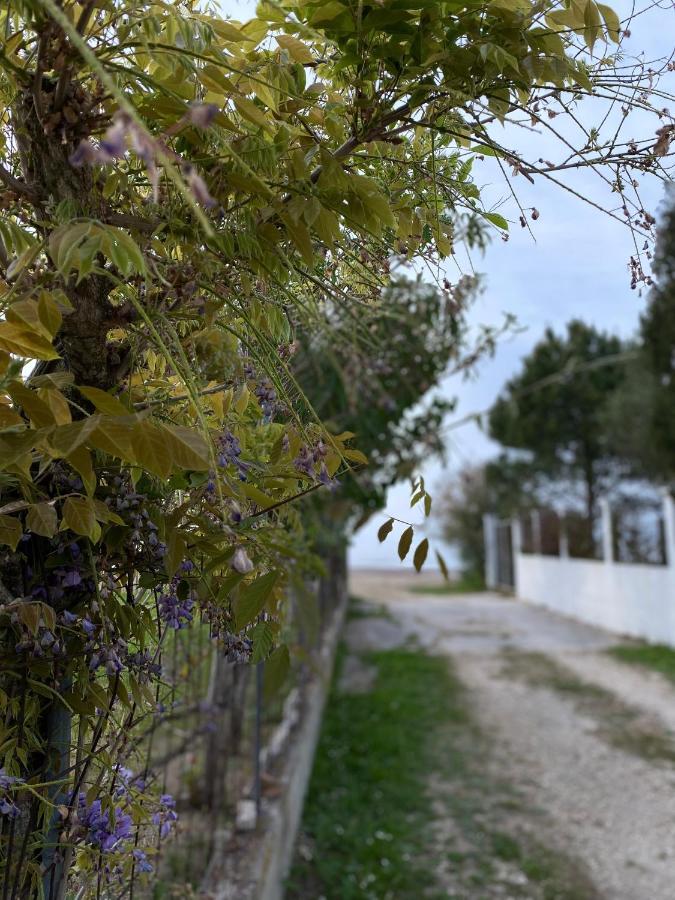 Endless Green: Feel Free And Cozy In Nature * Perivólion